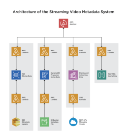 Streaming Video Metadata Arch